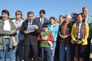 FOÇA ILIPINAR’DAKİ AĞAÇ KATLİAMINA DUR DENİLDİ