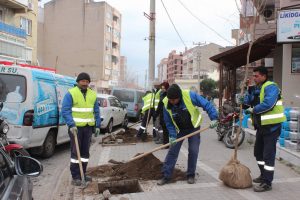 YEŞİL DOSTU BERGAMA BELEDİYESİ’NDEN 13 BİN YENİ FİDAN
