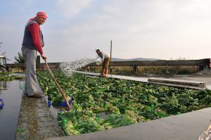 ORGANİK TARIM DESTEKLEMELERİ AÇIKLANDI