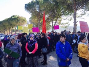 BERGAMALILAR “ZEYTİNİME DOKUNMA” DEDİ   