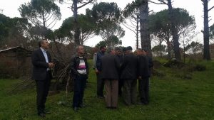 KOZAK ÇAM FISTIĞI SORUNU YERİNDE İNCELENDİ