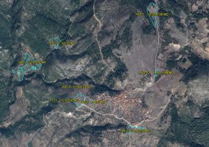 BERGAMA BELEDİYESİ ORMAN ALANLARINA TALİP