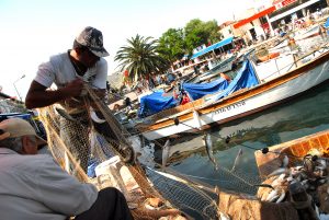 FOÇA’DA SÜRDÜRÜLEBİLİR BALIKÇILIK PROJESİ