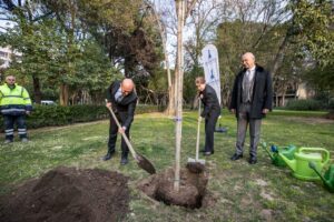 Brezilya’dan İzmir’e kardeşlik fidanı