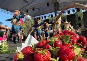 Emiralem Çilek Festivali dolu dolu