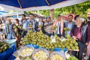 Enginar şöleni başladı