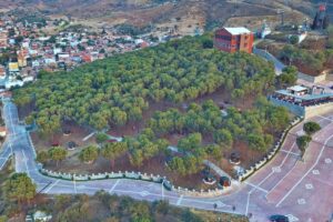 DELEZ YAŞAM VADİSİ SOSYAL TESİSLERİ AÇILDI