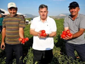 KINIK KURU DOMATESİ COĞRAFİ İŞARET ALDI