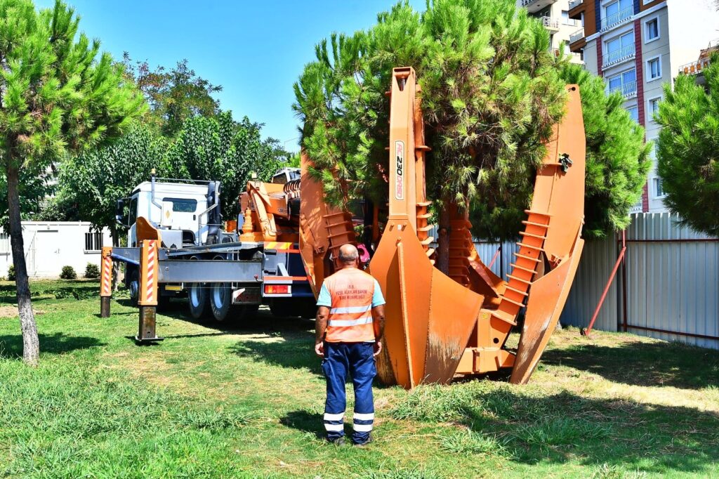 Ağaçlar taşınarak koruma altına alınıyor
