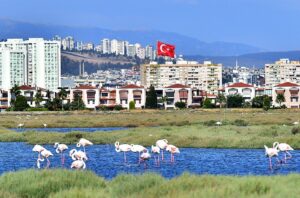 Flamingo Yolu turu 4 binin üzerinde ziyaretçi ağırladı
