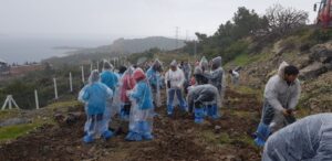 Foça’da Orman Haftası Kutlama ve Fidan Dikim  Etkinliği