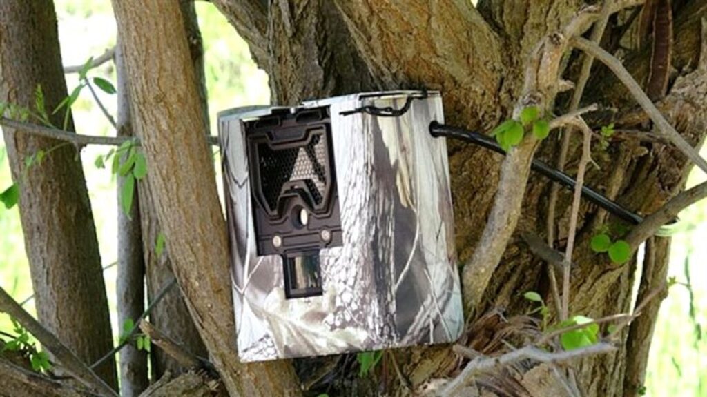 GDZ Elektrik’ten trafo hırsızlığına karşı  fotokapanlı önlem!