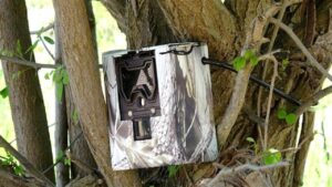 GDZ Elektrik’ten trafo hırsızlığına karşı  fotokapanlı önlem!