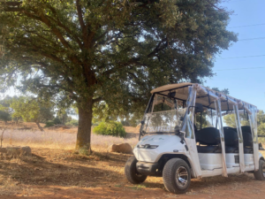Olivelo Yaşayan Park’ta safari turları  başlıyor