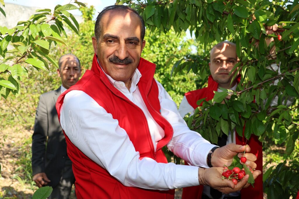 Ki­raz­da rekor yılı: 205 mil­yon do­la­ra ulaş­tı