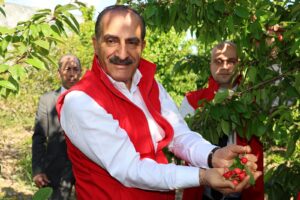 Ki­raz­da rekor yılı: 205 mil­yon do­la­ra ulaş­tı