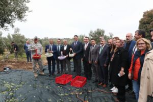 Aliağa’da 2. Zeytin Hasat Şenliği Düzenlendi