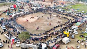 BERGAMA FOLKLORİK DEVE GÖSTERİSİ FESTİVALİ YOĞUN KATILIMLA DÜZENLENDİ
