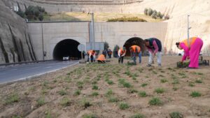 Kuraklığa karşı İzmir’in yeşil örtüsünde dönüşüm 