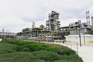 Tüpraş, CDP’de Sürdürülebilirlik Liderleri Arasında