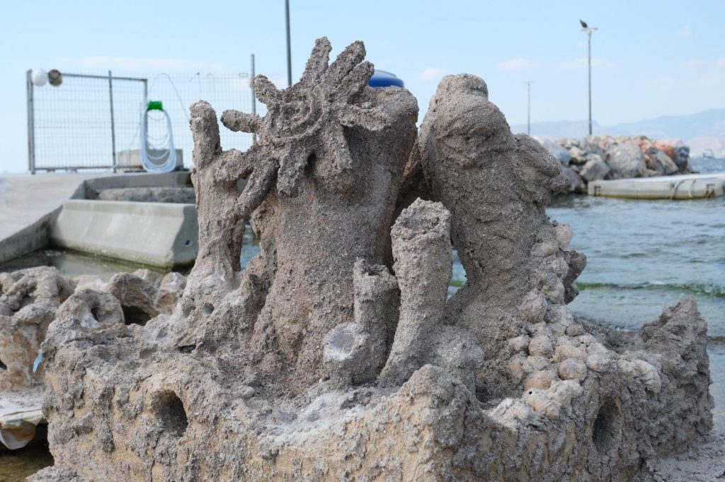 İzmir’de atık midye kabukları yapay resiflere dönüşecek