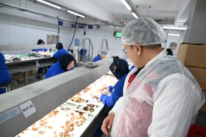 Sağlık Profesyonelleri Organik Tarımın İzinde
