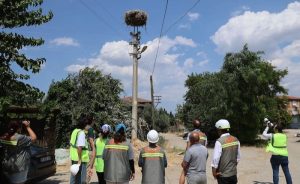 ADM Elektrik ve GDZ Elektrik’ten Kuş Göç Yollarına Koruma
